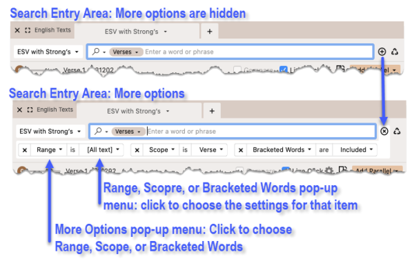 Locating additional (More) search options such as Range and Scope