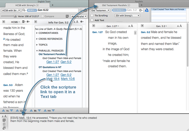 In the Info pane, you can click the name or subject of the Parallel to open it in a new zone, or mouse over the scripture link to view it in the Instant Details