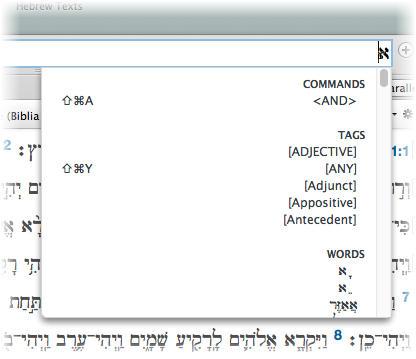 Type a Hebrew letter in the Search Entry box to see a list of possible entries in the Quick Entry pop-up menu, including tags and commands.